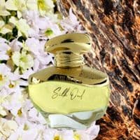 Silk Oud EDP 60ml unisex By Ahmed al Maghribi